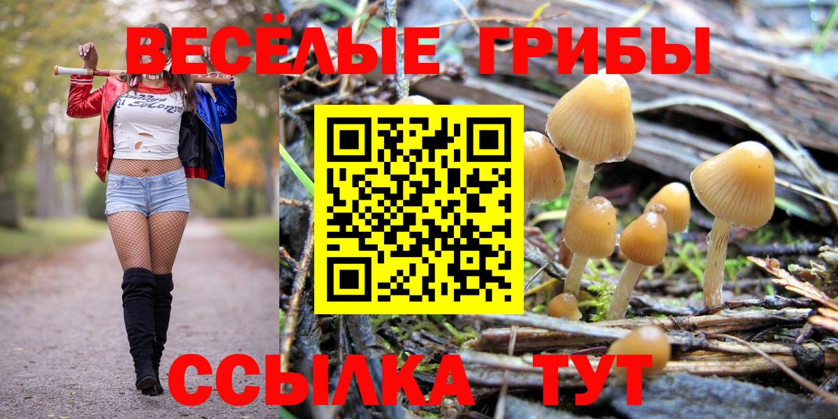 Галлюциногенные грибы Magic Shrooms  Вход с VPN  Кашира 
